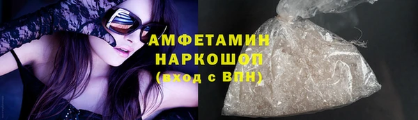индика Абаза