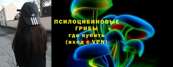 индика Абаза