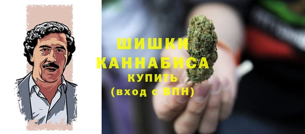 apvp Новозыбков