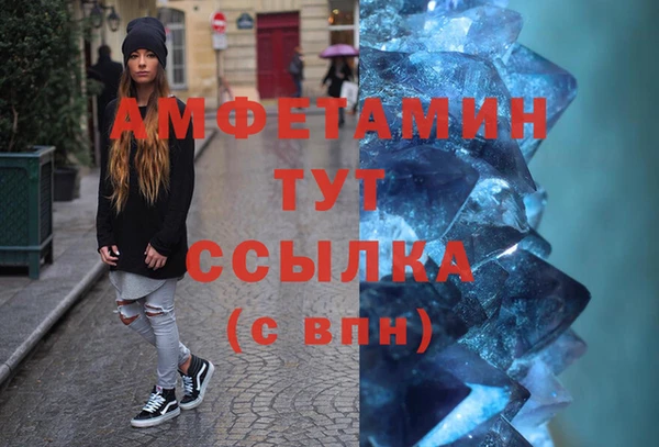 индика Абаза