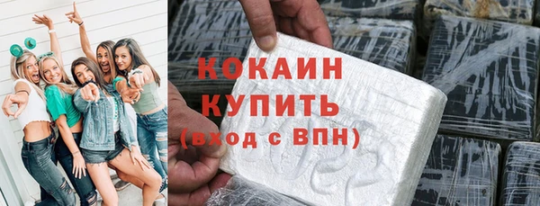 индика Абаза