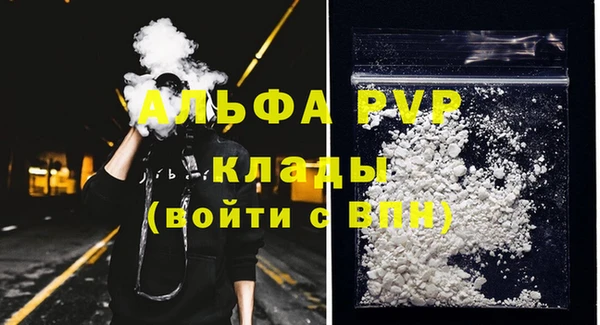 индика Абаза