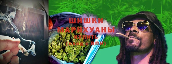 индика Абаза