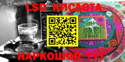 стаф Свободный