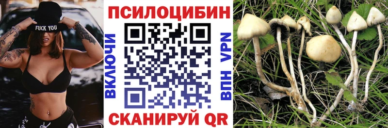 Галлюциногенные грибы прущие грибы  купить закладку  Холмск 