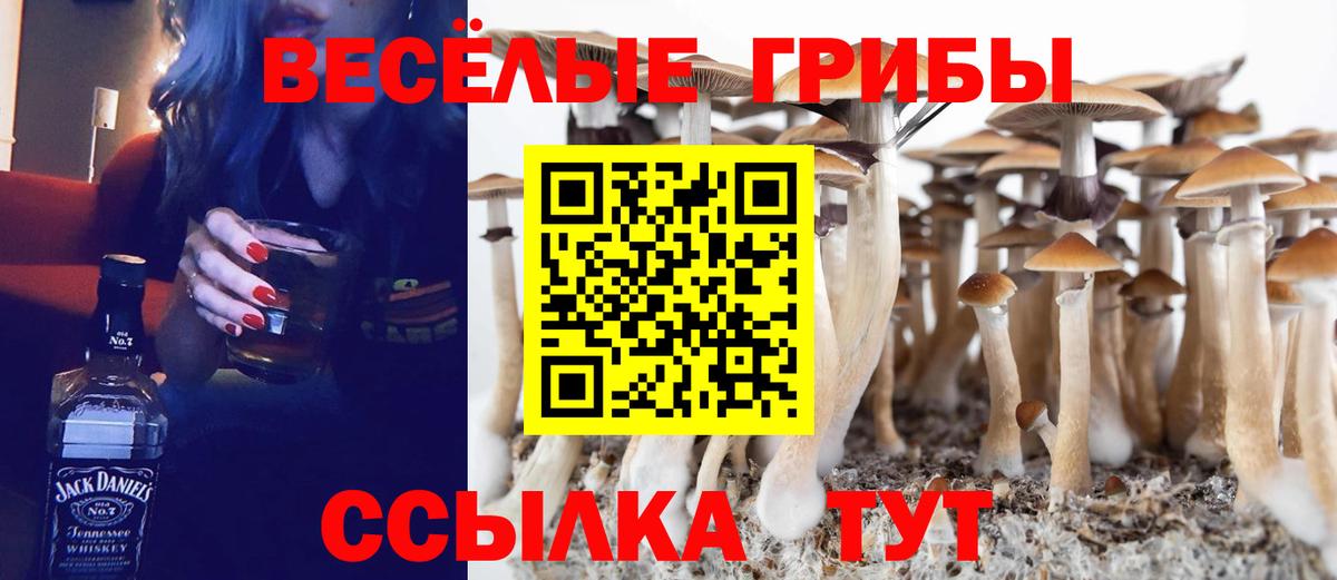 Холмск  Галлюциногенные грибы MAGIC MUSHROOMS  купить наркотики сайты  Вход с VPN 