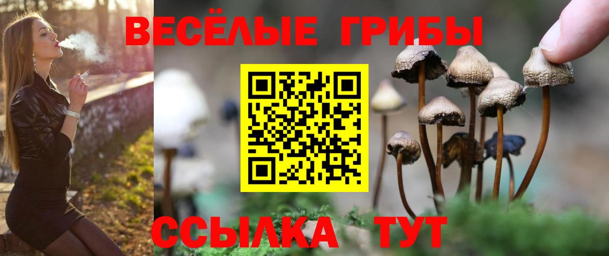 Псилоцибиновые грибы ЛСД Холмск