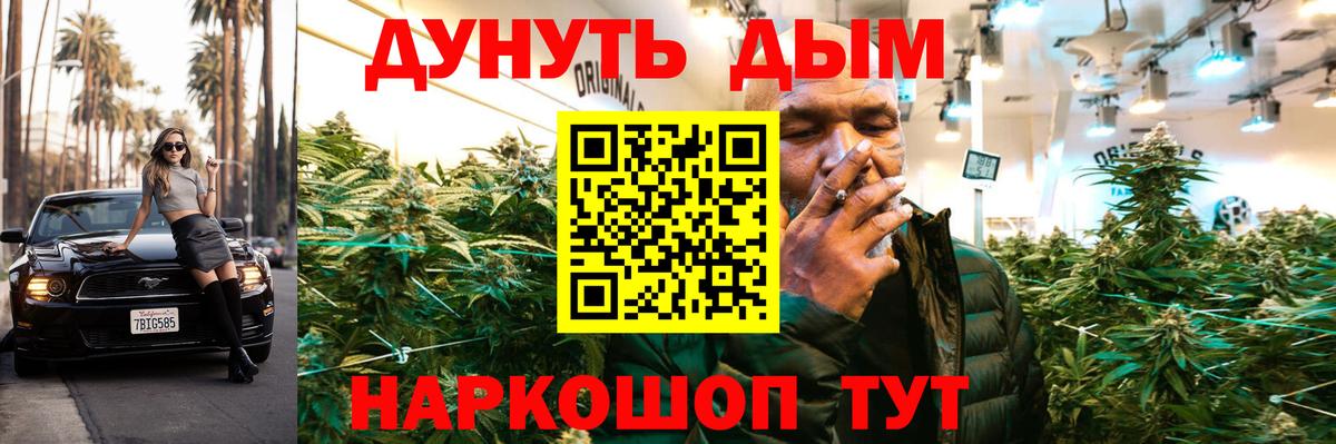 Канабис план Холмск